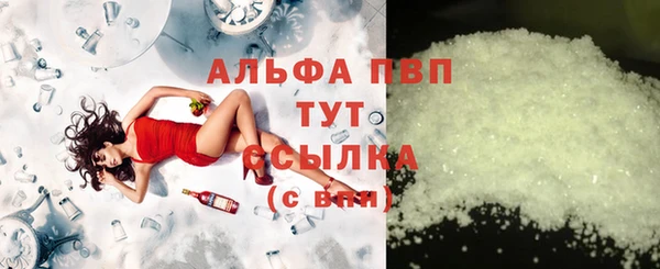 молекула духа Богородицк