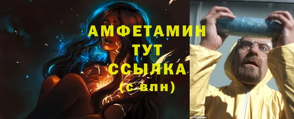 молекула духа Богородицк