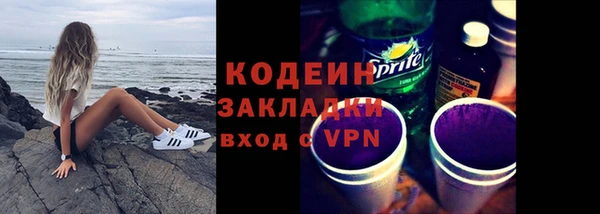 молекула духа Богородицк