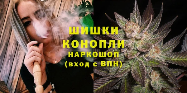 молекула духа Богородицк