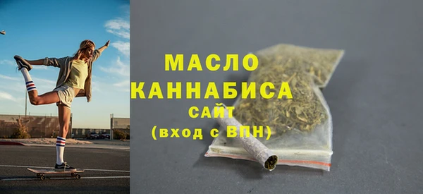 молекула духа Богородицк