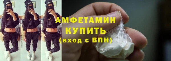молекула духа Богородицк
