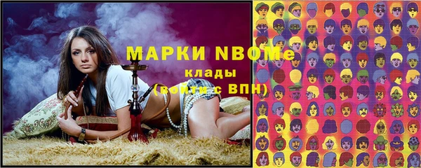 молекула духа Богородицк