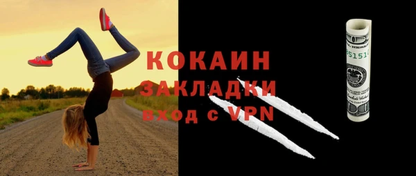 молекула духа Богородицк