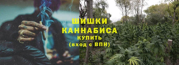 молекула духа Богородицк