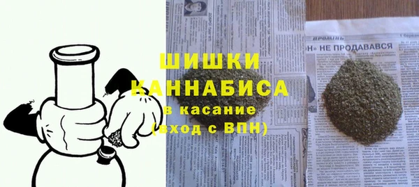 молекула духа Богородицк