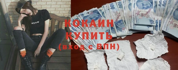 молекула духа Богородицк