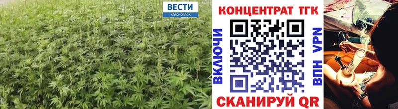 мега ТОР  купить наркоту  Наро-Фоминск  Дистиллят ТГК Wax 