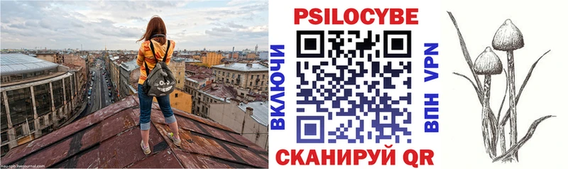 наркотики  Наро-Фоминск  KRAKEN ТОР  Галлюциногенные грибы Psilocybe 