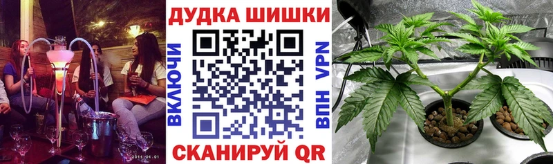 Бошки марихуана SATIVA & INDICA Наро-Фоминск